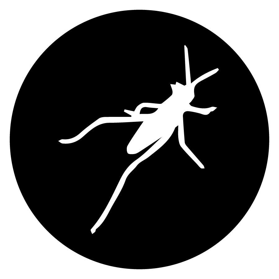 Grasshopper